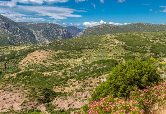 Greece_small OALs Greece