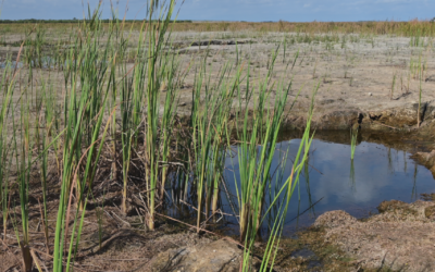 What are hydrometeorological hazards?