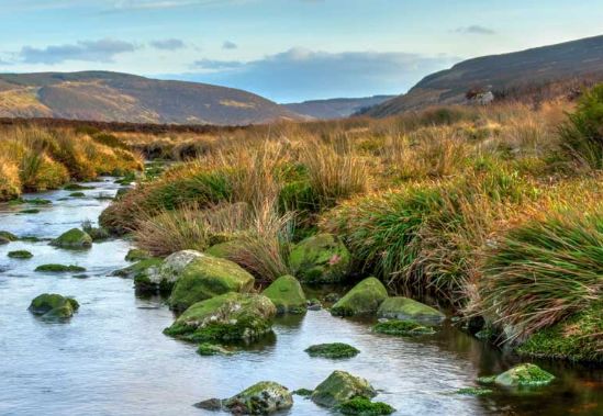 Ireland_small OALs Germany