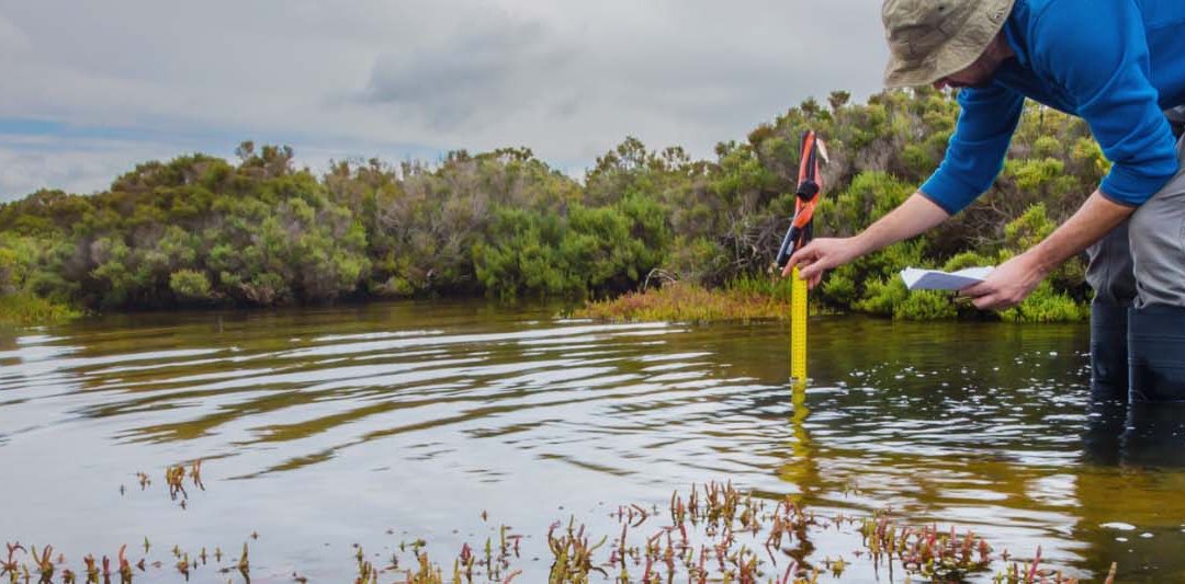 Reconnecting water management with nature: Upscaling nature-based solutions