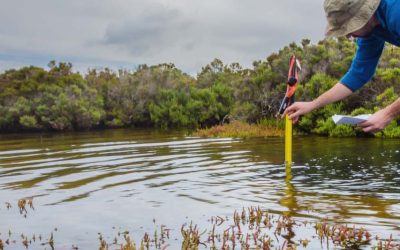 Reconnecting water management with nature: Upscaling nature-based solutions